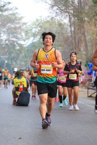 BIB: 16097
                            <button type="button" onclick="openModal(10413526)" class="btn btn-primary btn-sm float-right btn-popup" data-toggle="modal" data-target=".modal-high-quality">
                        <i class="fas fa-shopping-cart"></i> Add to Cart
                    </button>
                                            <button type="button" onclick="isThisMe(10413526, true)" class="btn btn-success btn-sm float-right btn-popup btn-isme hidden" data-toggle="tooltip" data-placement="bottom" title="นี่คือรูปของคุณใช่ไหม คลิกที่นี่เพื่อเอาเข้าอัลบั้ม">
                        <i class="fas fa-plus"></i> Add to album
                    </button>
                    <button type="button" onclick="isThisMe(10413526, false)" class="btn btn-warning btn-sm float-right btn-popup btn-isnotme hidden">
                        <i class="fas fa-ban"></i> Remove from album
                    </button>
